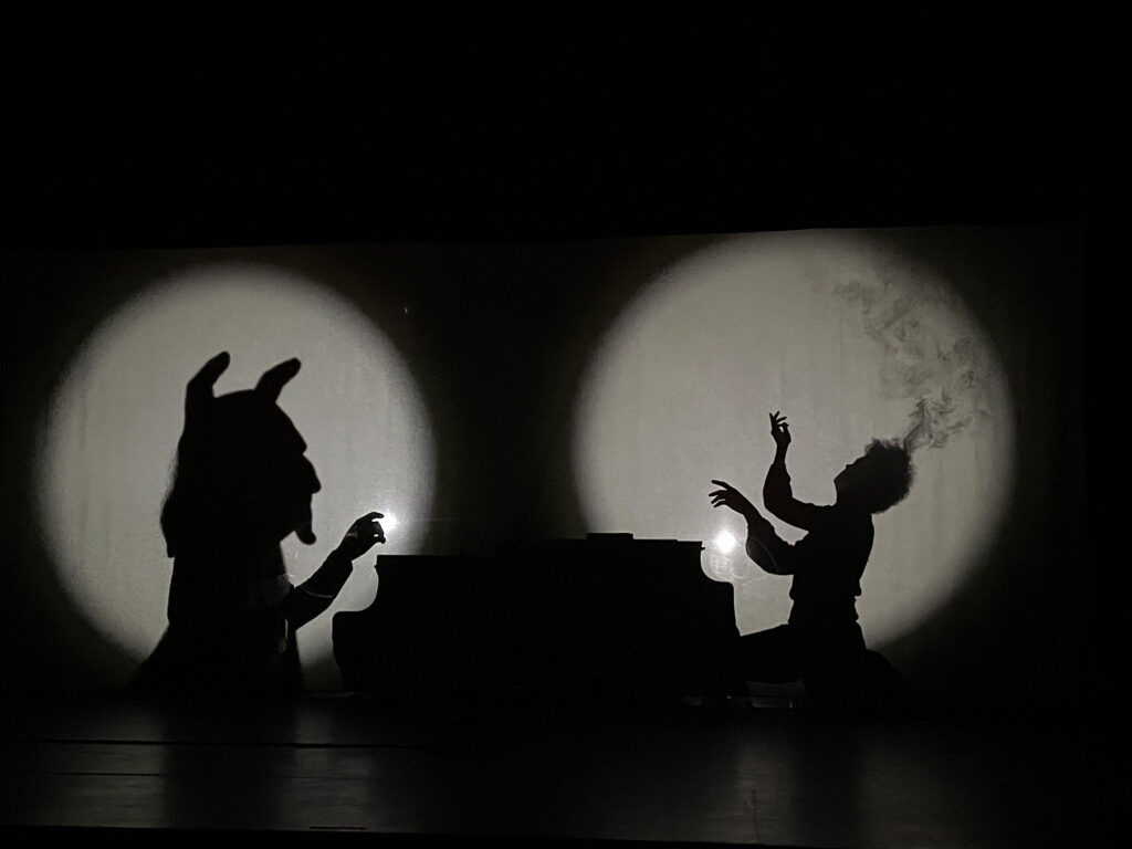 Agrandir l'image, fenêtre modale